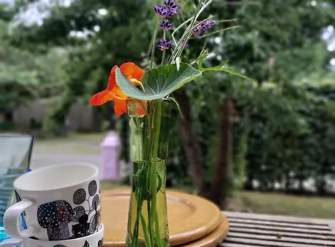 Гостевой дом Champagne